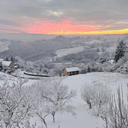 Wine Panorama House Villa Jastrebarsko Exterior photo