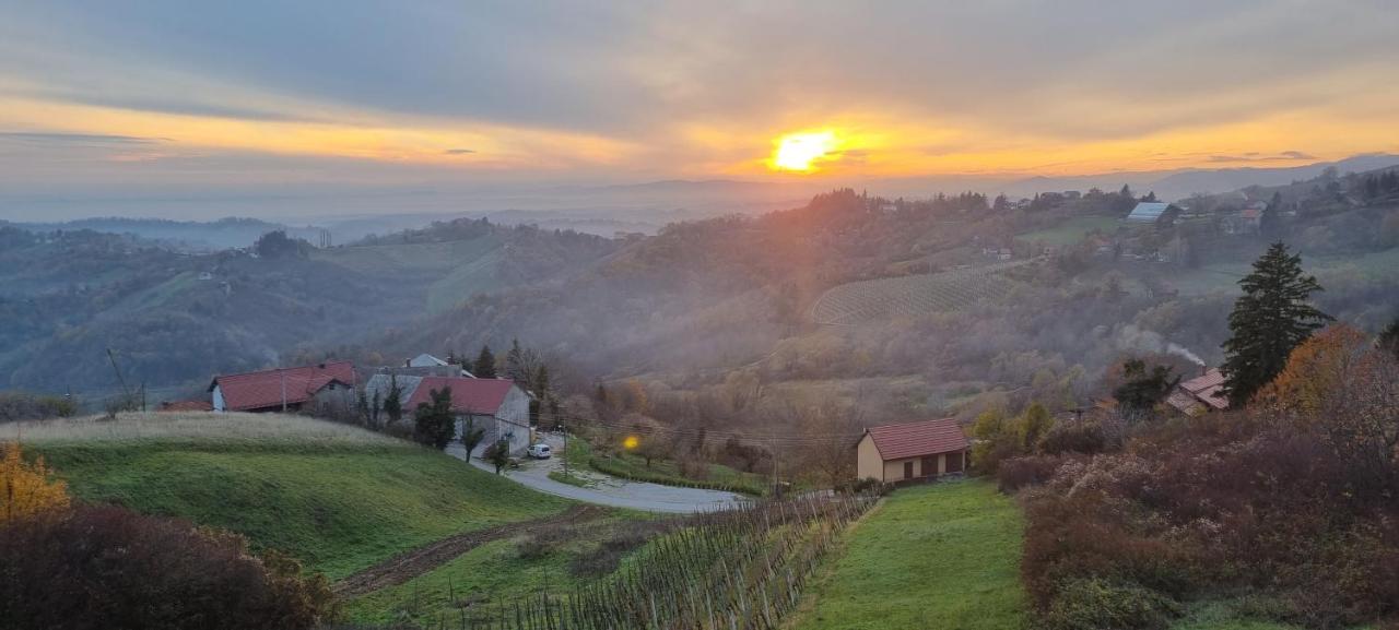 Wine Panorama House Villa Jastrebarsko Exterior photo