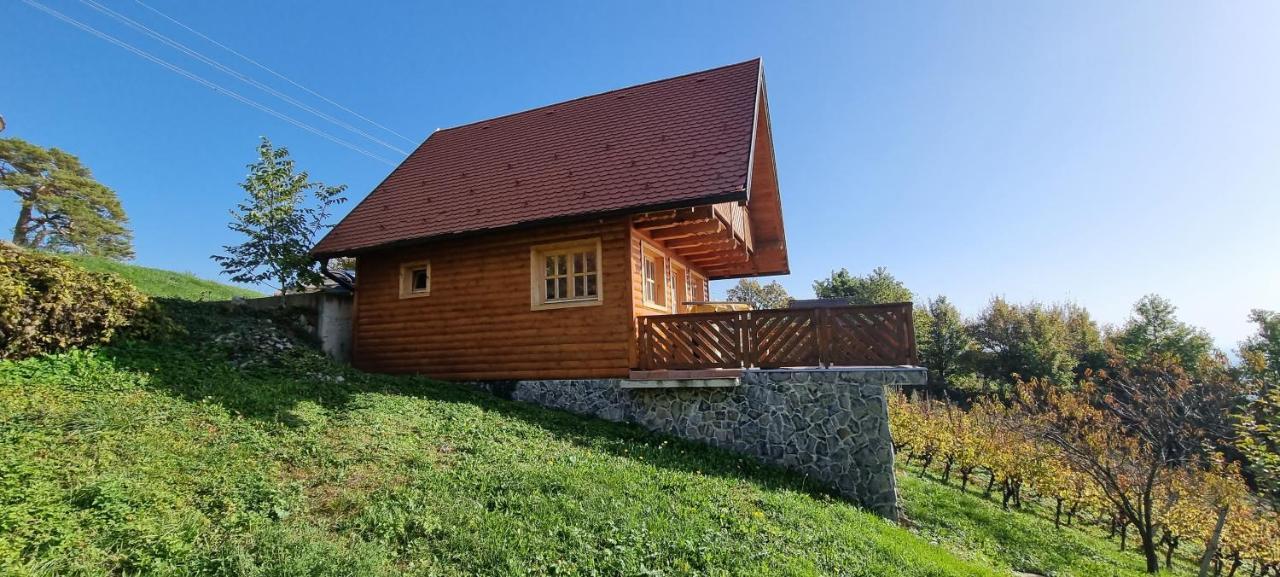 Wine Panorama House Villa Jastrebarsko Exterior photo