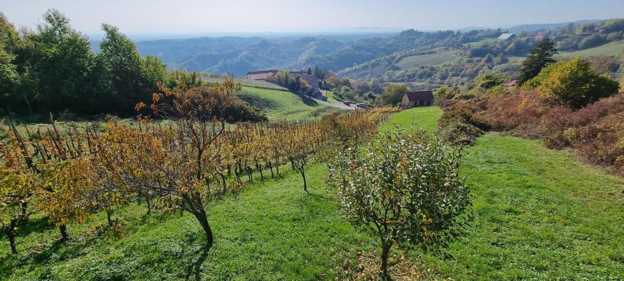 Wine Panorama House Villa Jastrebarsko Exterior photo