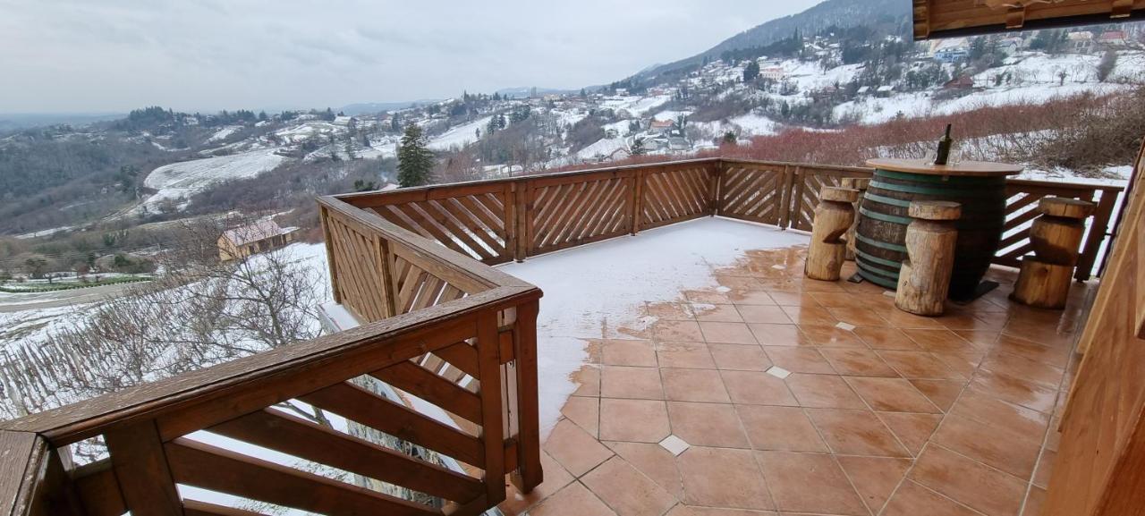Wine Panorama House Villa Jastrebarsko Exterior photo