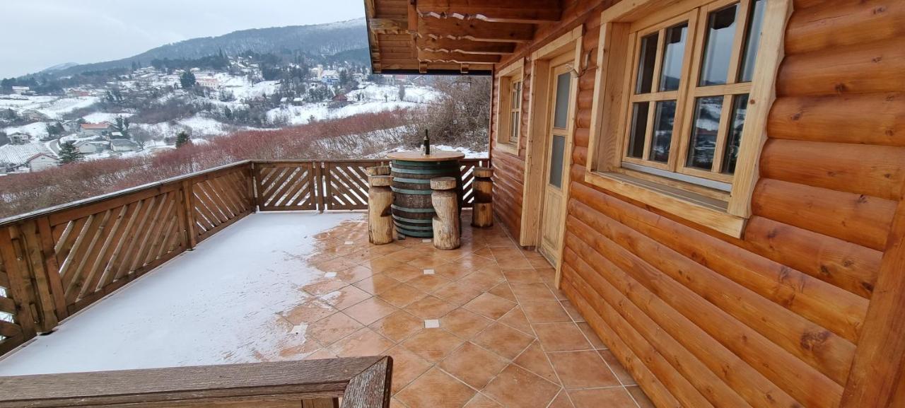 Wine Panorama House Villa Jastrebarsko Exterior photo