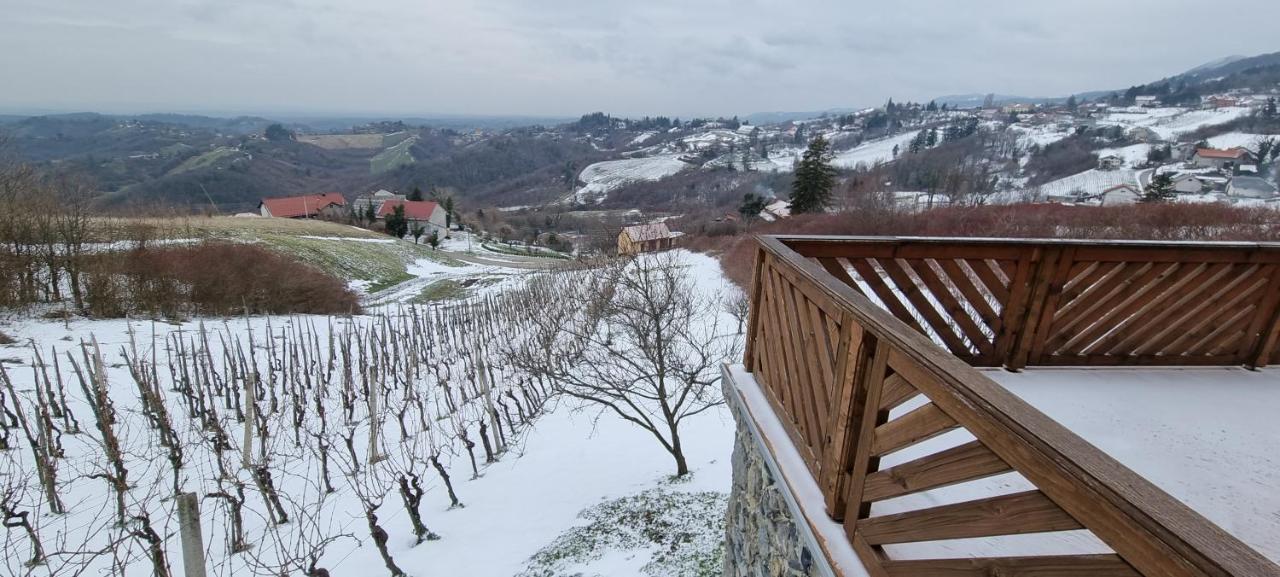 Wine Panorama House Villa Jastrebarsko Exterior photo
