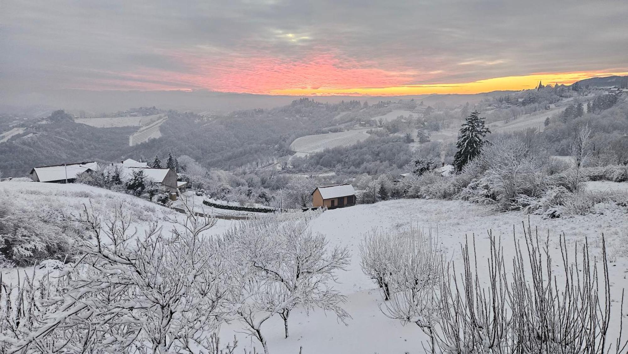 Wine Panorama House Villa Jastrebarsko Exterior photo